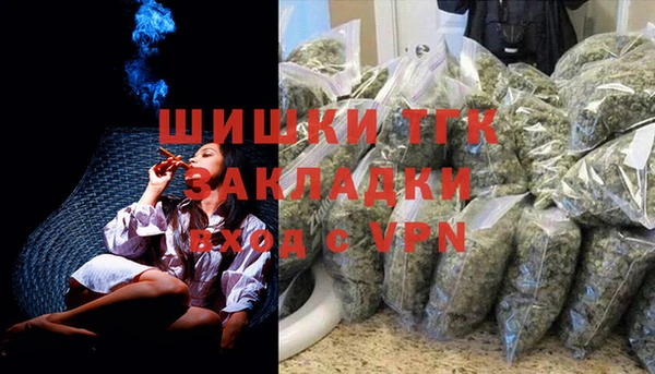 спиды Пересвет