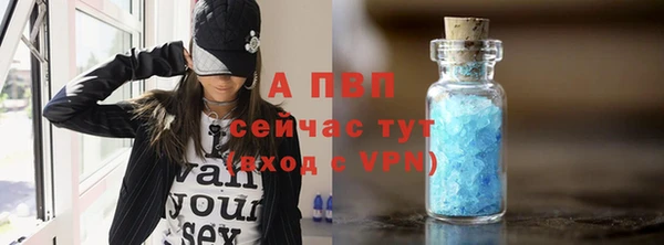 спиды Пересвет