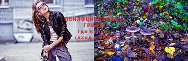 COCAINE Переславль-Залесский