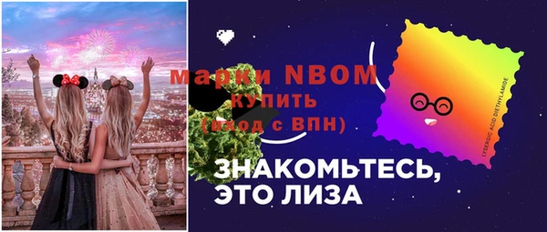 соль ск Пестово
