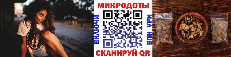 Галлюциногенные грибы Psilocybine cubensis Щигры